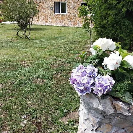 Quinta Dos Sobreiros * Nadadouro