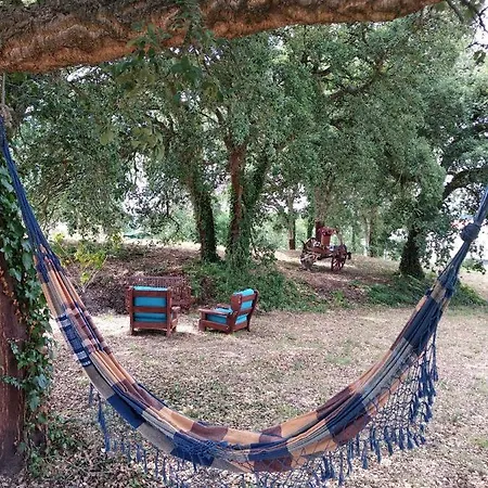 Holiday home Quinta Dos Sobreiros