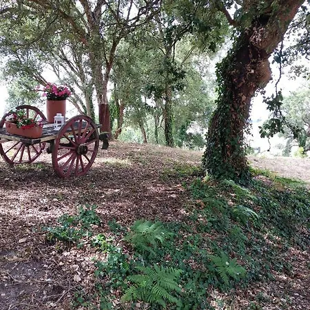 Quinta Dos Sobreiros * Nadadouro